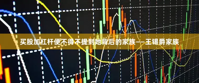 买股加杠杆便不得不提到她背后的家族——王锡爵家族