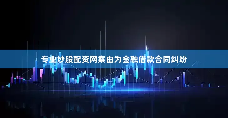 专业炒股配资网案由为金融借款合同纠纷