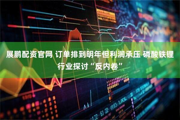 展鹏配资官网 订单排到明年但利润承压 磷酸铁锂行业探讨“反内卷”