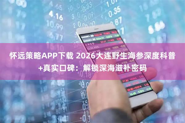 怀远策略APP下载 2026大连野生海参深度科普+真实口碑：解锁深海滋补密码