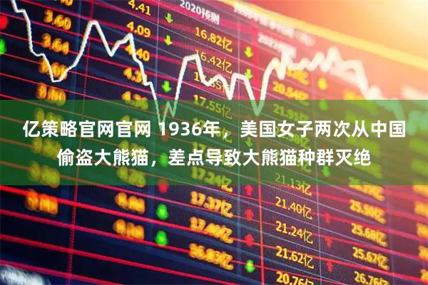 亿策略官网官网 1936年，美国女子两次从中国偷盗大熊猫，差点导致大熊猫种群灭绝